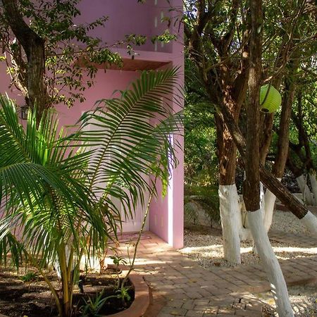 Casa Rosse Villa Tulum Pueblo Buitenkant foto